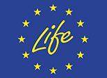 Europa life